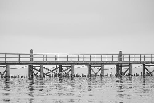 陸先生的小心肝甜翻了小說(shuō)喻悠素陸景琰無(wú)錯版閱讀