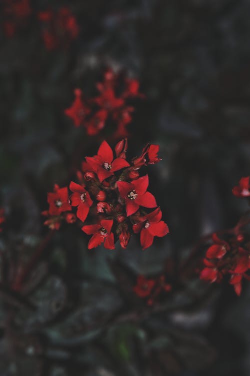 父親節給爸爸的QQ祝福語(yǔ)33條