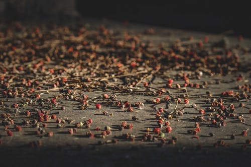 關(guān)于高中周記青春勵志錦集10篇