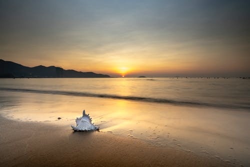 摩登如來(lái)神掌經(jīng)典臺詞