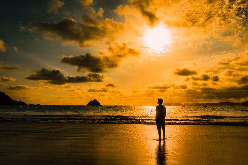 四合院瀟灑人生小說(shuō)連載中何雨柱冉秋葉章節閱讀