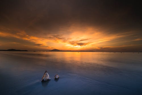 詩(shī)句作文匯總5篇