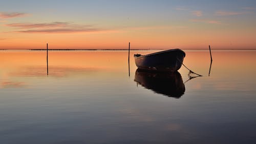 爽文都市逍遙小神婿小說李敖蘇欣然全文閱讀