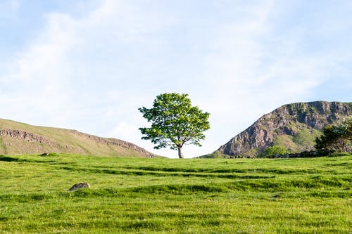 我的語(yǔ)文課堂教學(xué)隨筆3篇