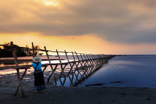 男頻妙手小鄉醫小說(shuō)蘇宇張薇無(wú)廣告閱讀