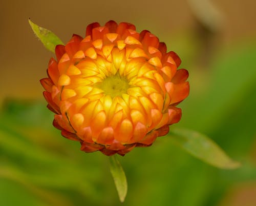 小學(xué)一年級日記集錦六篇