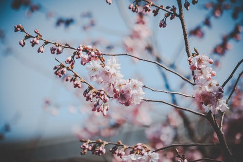 東京食尸鬼經(jīng)典臺(tái)詞