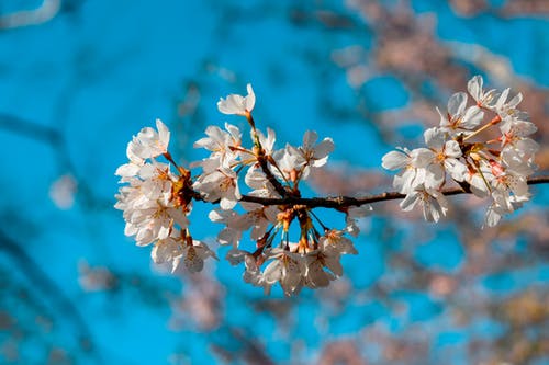 有關(guān)運動(dòng)會(huì )日記范文9篇