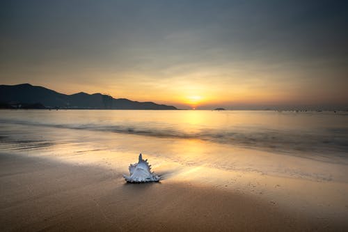 重陽(yáng)節詩(shī)歌