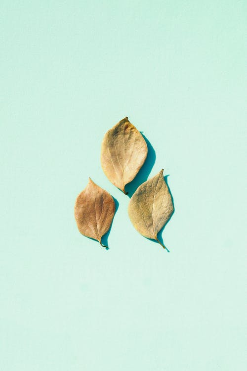 認識實(shí)習日記范文集合6篇