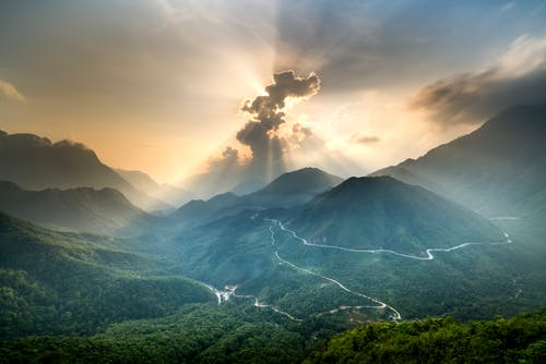 人教版五年級上冊八單元作文我愛(ài)看的革命影視作品—《閃閃的紅星》