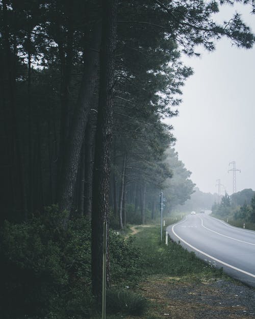 奇幻黑皇葉靈兒小說重回大三的林寒章節(jié)閱讀