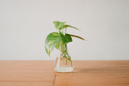 有關(guān)心情日記集合7篇