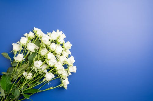 行在人間那些年連載中主角李如天小說(shuō)目錄閱讀