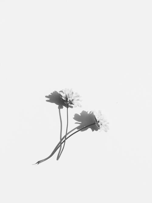 《2013年春晚》觀(guān)后感