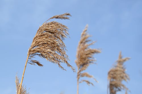 蕭昆侖郭泥小說(shuō)無(wú)彈窗異蠱傳說(shuō)全集閱讀