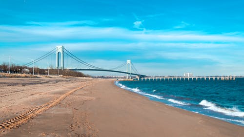 五年級童話(huà)寓言作文獅子和螞蟻