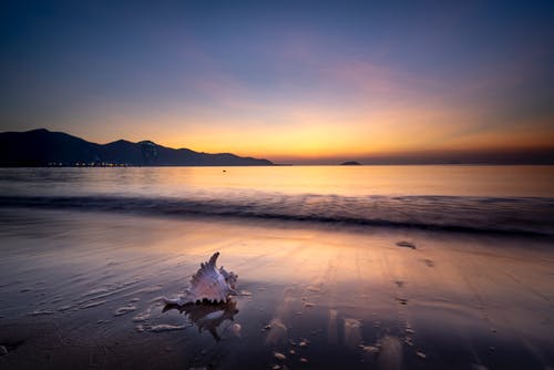 四月聽(tīng)花的微笑詩(shī)歌