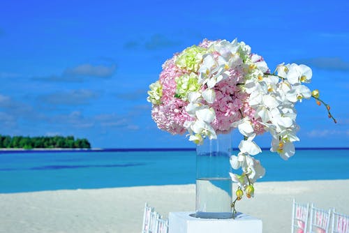 “或為出師表，鬼神泣壯烈。”原文、翻譯及賞析