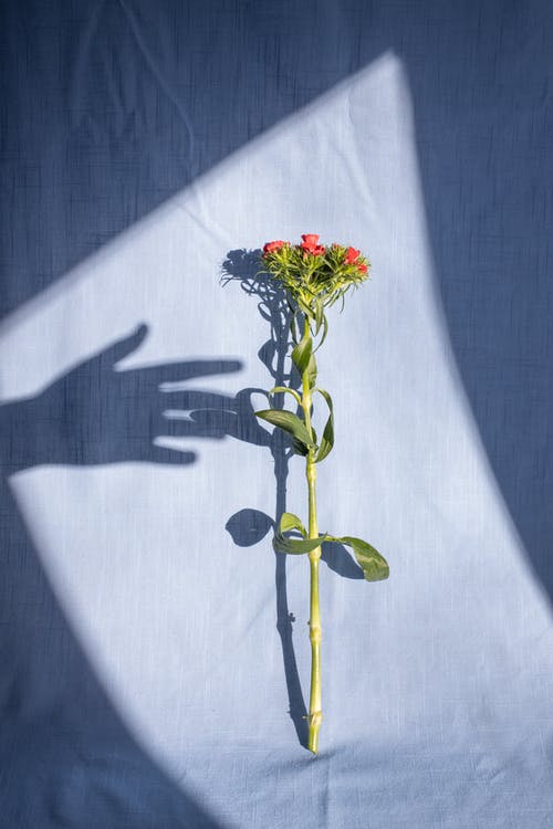 霜降快樂(lè )的祝福語(yǔ)大集合39條