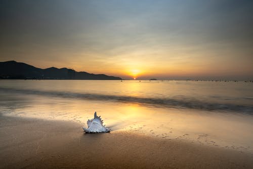 五年級寫(xiě)人作文拖堂大王