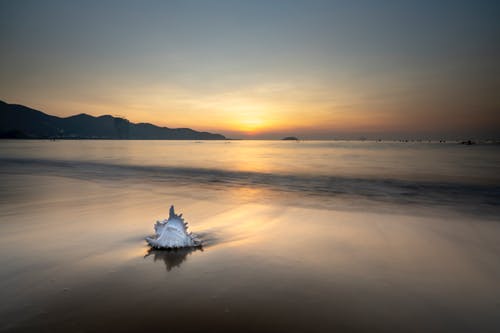 戰神圣師神婿小說(shuō)秦淮蘇敏無(wú)刪減閱讀