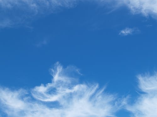 五年級寫(xiě)人作文“辣子”班長(cháng)