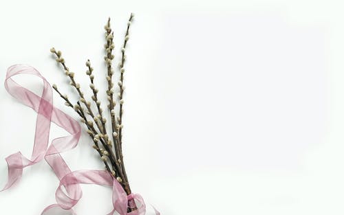 熱文戰(zhàn)神強(qiáng)勢(shì)歸來(lái)小說(shuō)葉無(wú)道徐靈兒搶先閱讀