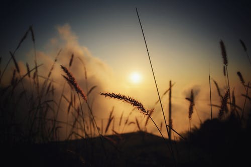 相愛(ài)經(jīng)典語(yǔ)錄感悟深刻