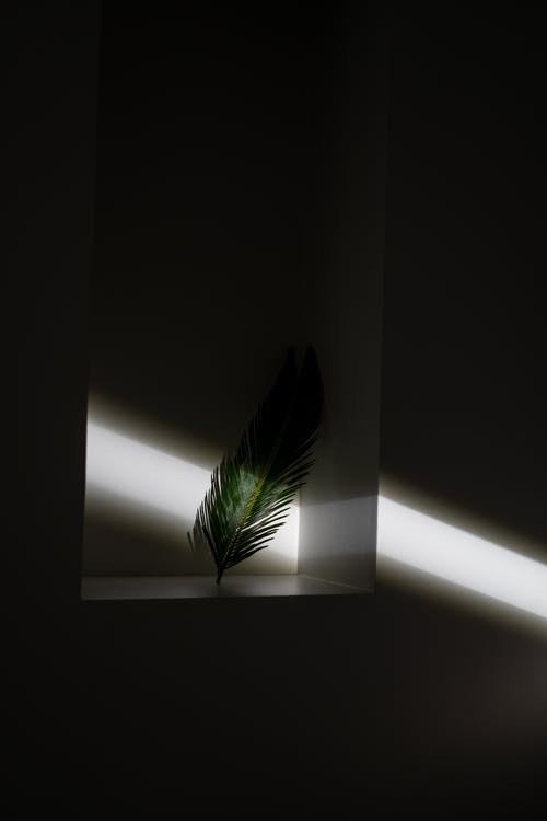 五年級讀后感西游記讀后感1