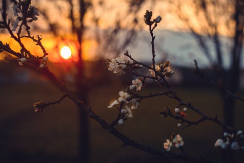 優(yōu)美的小年祝福語(yǔ)大集合53條