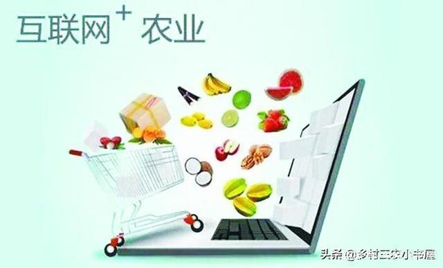 農(nóng)村電商創(chuàng)業(yè)典型案例？