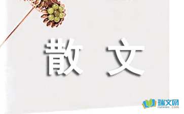 木屋聽雨 隨筆散文