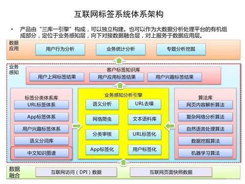 學(xué)習(xí)電子商務(wù)需要學(xué)習(xí)哪些軟件，請?jiān)敿?xì)說一下