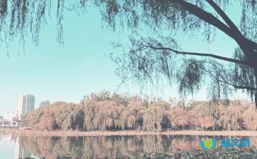 秋季戀歌散文隨筆