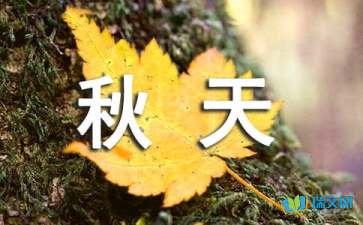散文隨筆：秋天的希望之路