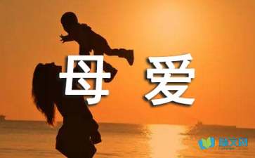 關(guān)于母愛隨筆作文