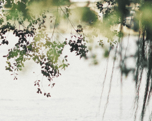 別人必評的經典說說(70條) 別人必評的經典說說(70條)