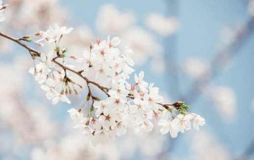 2019心靈雞湯的經(jīng)典說說(41條) 2019心靈雞湯的經(jīng)典說說(41條)