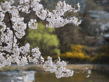 2019年朋友圈深入人心的經(jīng)典說說（63條）