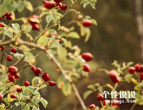 67條深刻有內(nèi)涵的經(jīng)典說說