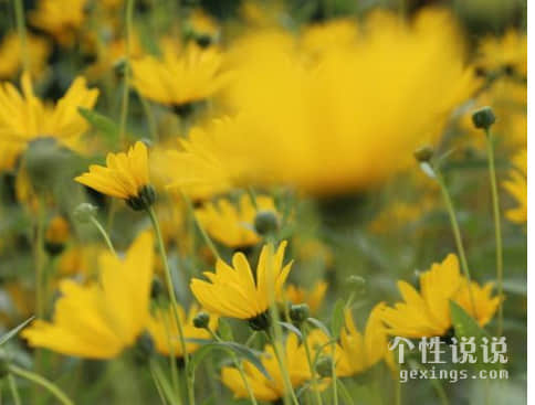 深入人心有內涵的經(jīng)典說說（55條）