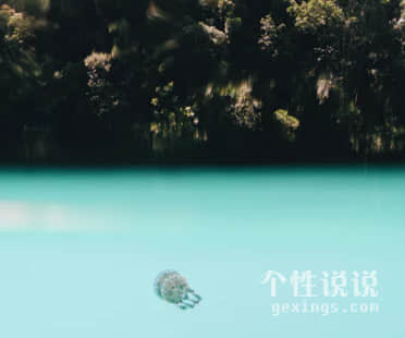 表達(dá)抑郁的經(jīng)典句子：再回來陪我喝一杯烈酒走走舊路 還欠我一句…