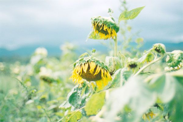 朋友圈壓抑憋屈的心情說說 真正難過的人，一滴眼淚也沒流