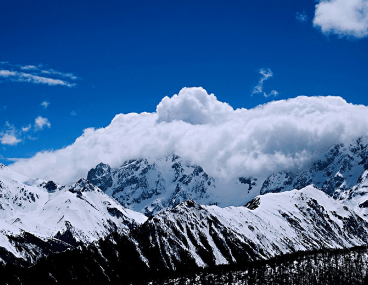 細數(shù)悲涼的句子 讓人很心疼的傷感說說大全