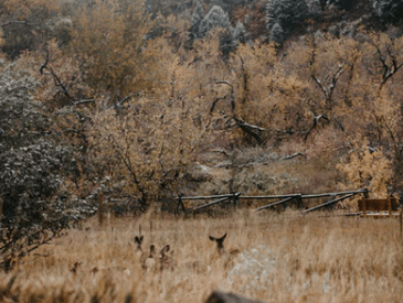 qq傷感說說大全 心里很不是滋味的句子