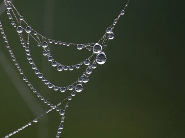 最悲傷的說(shuō)說(shuō):騙自己你還是很關(guān)心我,白首不相離是個(gè)笑話(huà)