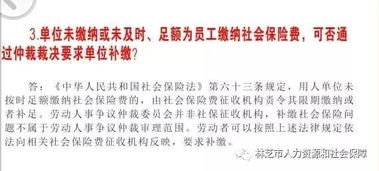 仲裁,基礎知識,人事,專(zhuān)業(yè)
