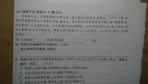 九年級上冊語(yǔ)文基礎知識,九年級上冊語(yǔ)文基礎知識測試卷,九年級下冊語(yǔ)文基礎知識