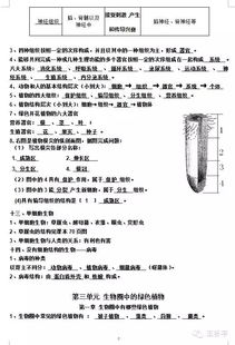 初1基礎知識點